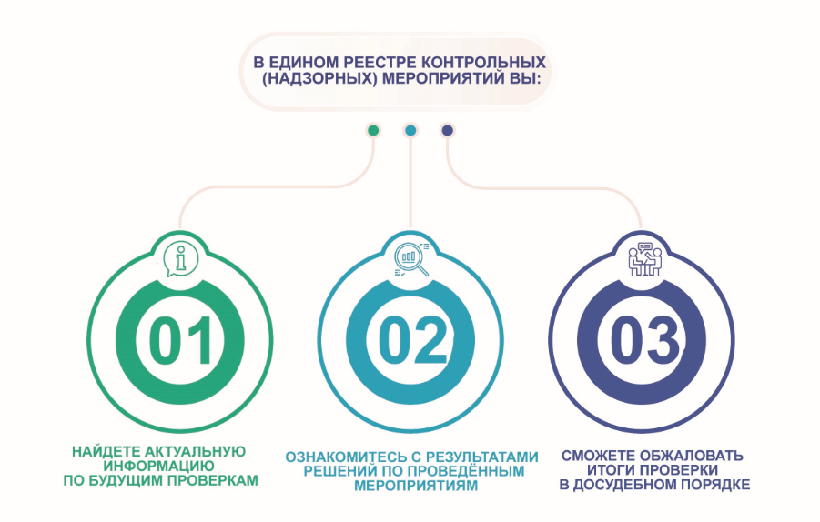 Реестр контроля. Единый реестр контрольных надзорных мероприятий. ФГИС единый реестр контрольных надзорных мероприятий. Единственный реестр контрольно-надзорных мероприятий. Единый реестр контрольных надзорных мероприятий презентация.